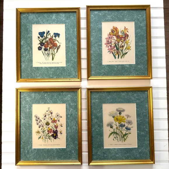 Vintage Botanical Flower Prints Framed Set of 4 Gold Mat Teal